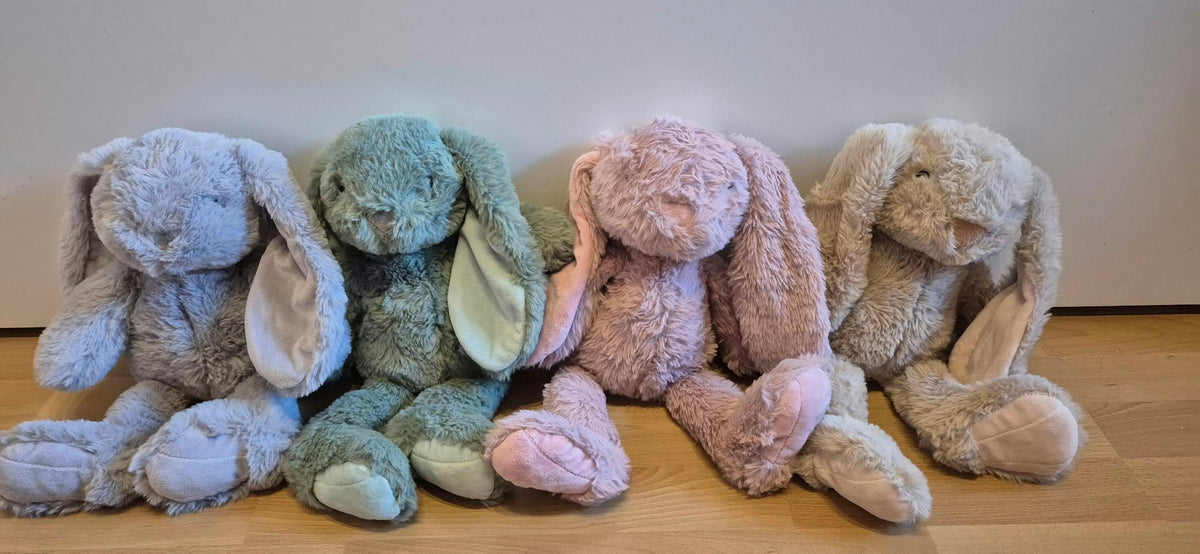 Personalisierte Erinnerung - Hase
